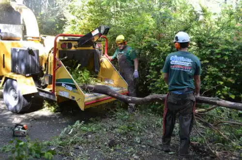 tree services Point MacKenzie